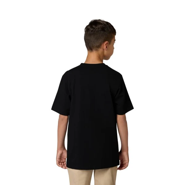 Miniature 4